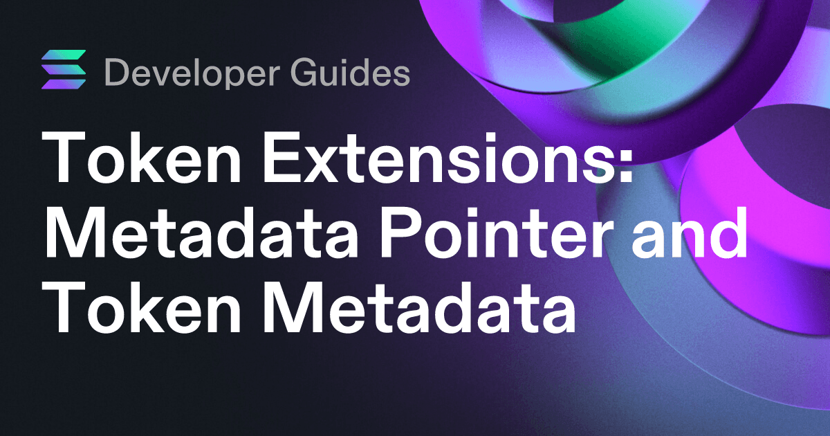 How to use the Metadata Pointer extension